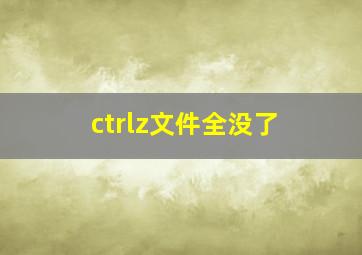 ctrlz文件全没了