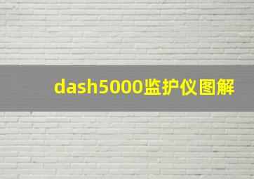 dash5000监护仪图解