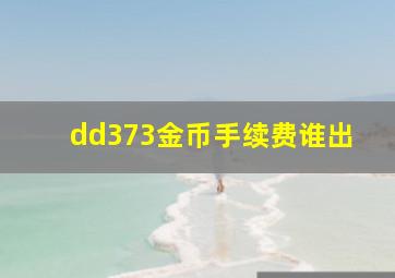 dd373金币手续费谁出