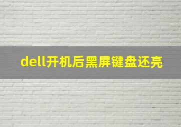 dell开机后黑屏键盘还亮