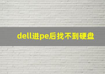 dell进pe后找不到硬盘