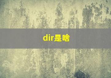 dir是啥