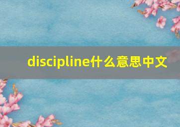 discipline什么意思中文