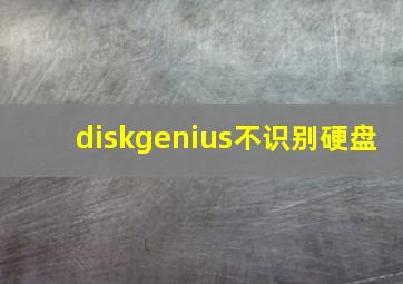 diskgenius不识别硬盘