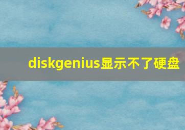 diskgenius显示不了硬盘