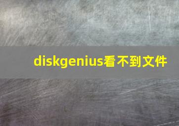 diskgenius看不到文件