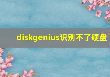 diskgenius识别不了硬盘