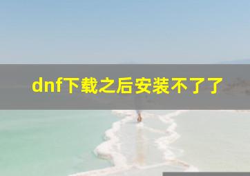 dnf下载之后安装不了了