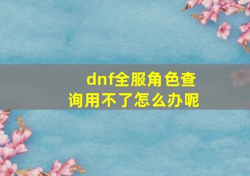 dnf全服角色查询用不了怎么办呢