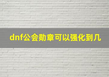 dnf公会勋章可以强化到几