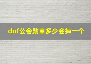 dnf公会勋章多少会掉一个