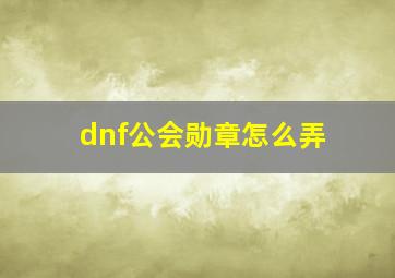 dnf公会勋章怎么弄