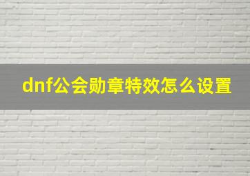 dnf公会勋章特效怎么设置