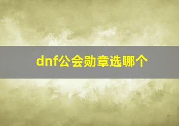 dnf公会勋章选哪个