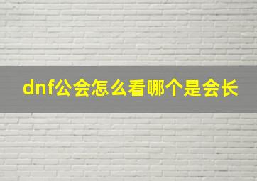 dnf公会怎么看哪个是会长