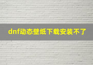 dnf动态壁纸下载安装不了