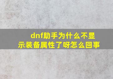 dnf助手为什么不显示装备属性了呀怎么回事