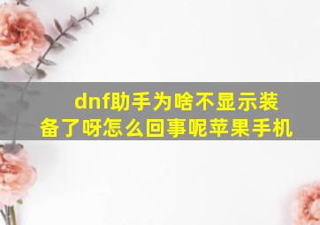 dnf助手为啥不显示装备了呀怎么回事呢苹果手机