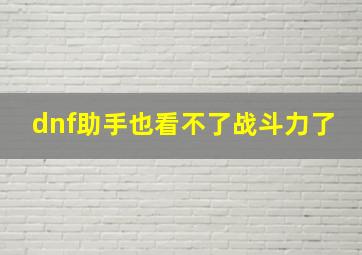 dnf助手也看不了战斗力了