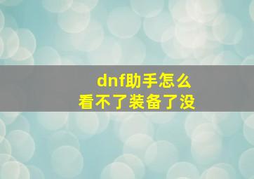 dnf助手怎么看不了装备了没