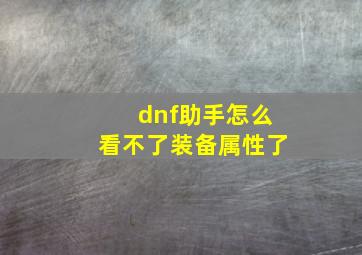 dnf助手怎么看不了装备属性了