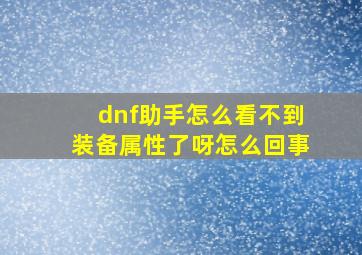 dnf助手怎么看不到装备属性了呀怎么回事