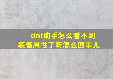 dnf助手怎么看不到装备属性了呀怎么回事儿