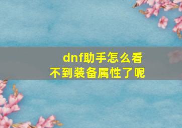 dnf助手怎么看不到装备属性了呢