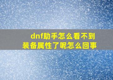 dnf助手怎么看不到装备属性了呢怎么回事