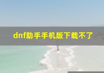 dnf助手手机版下载不了