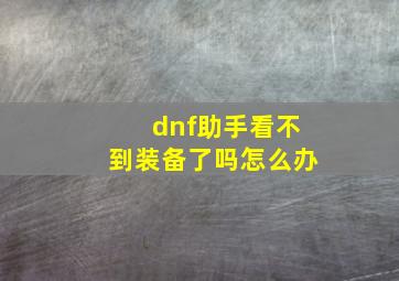 dnf助手看不到装备了吗怎么办