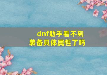 dnf助手看不到装备具体属性了吗