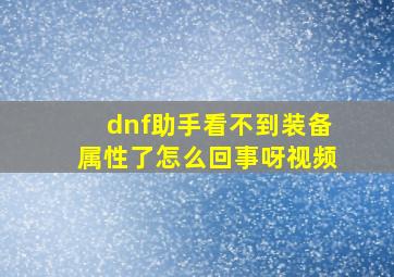 dnf助手看不到装备属性了怎么回事呀视频