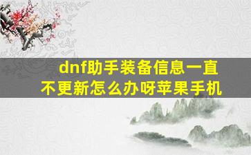 dnf助手装备信息一直不更新怎么办呀苹果手机