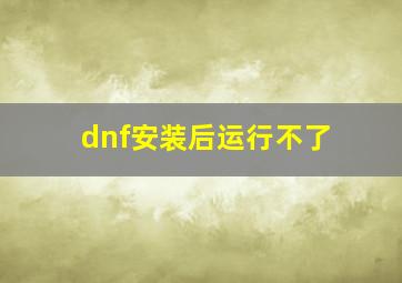 dnf安装后运行不了