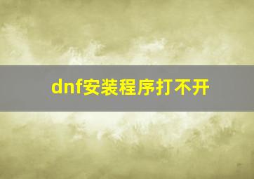 dnf安装程序打不开