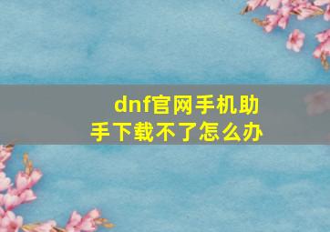 dnf官网手机助手下载不了怎么办