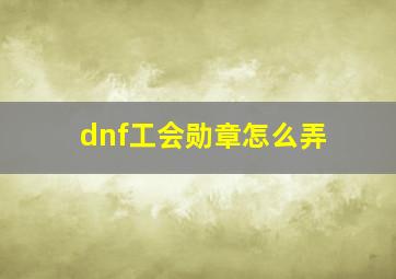 dnf工会勋章怎么弄