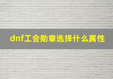 dnf工会勋章选择什么属性