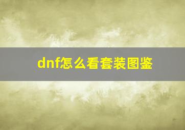 dnf怎么看套装图鉴