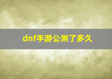 dnf手游公测了多久