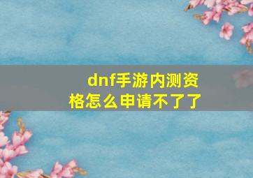 dnf手游内测资格怎么申请不了了