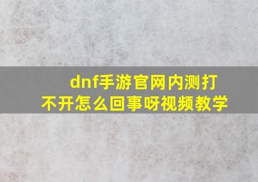 dnf手游官网内测打不开怎么回事呀视频教学