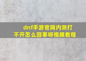 dnf手游官网内测打不开怎么回事呀视频教程