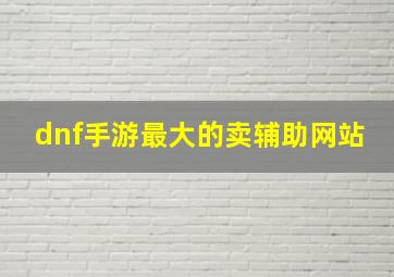 dnf手游最大的卖辅助网站