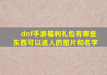 dnf手游福利礼包有哪些东西可以送人的图片和名字