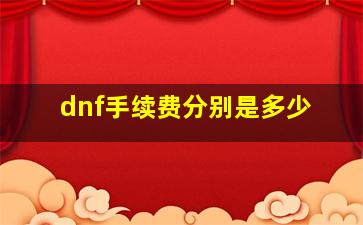 dnf手续费分别是多少