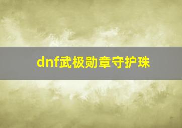 dnf武极勋章守护珠