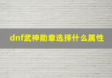 dnf武神勋章选择什么属性