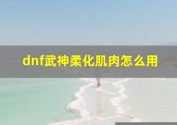 dnf武神柔化肌肉怎么用